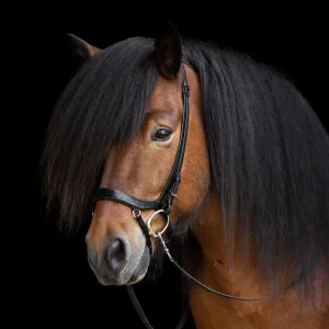 Alternative view of Hrímnis nasamúll mótaður með skáreim - Heritage