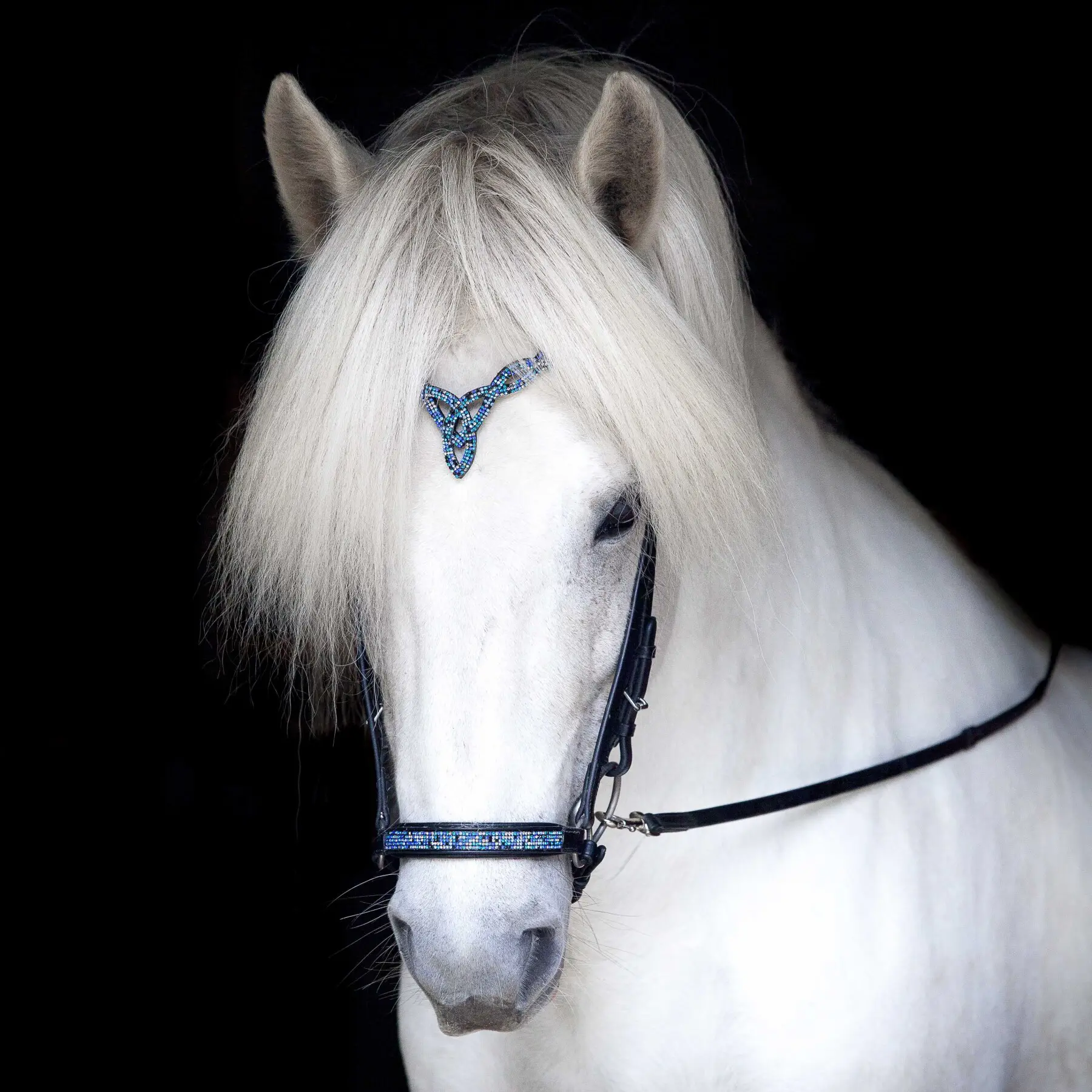 Hrímis nasamúll - Blue Lagoon