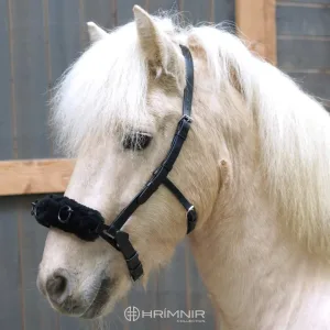 Alternative view of Hrímnis hringtaumsmúll - Carmen