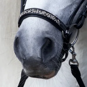 Alternative view of Hrímnis nasamúll - Fire and ice