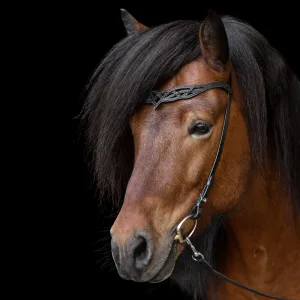 Alternative view of Höfuðleður Heritage B - Lava