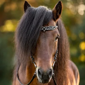 Alternative view of Höfuðleður Heritage B - Fire and Ice