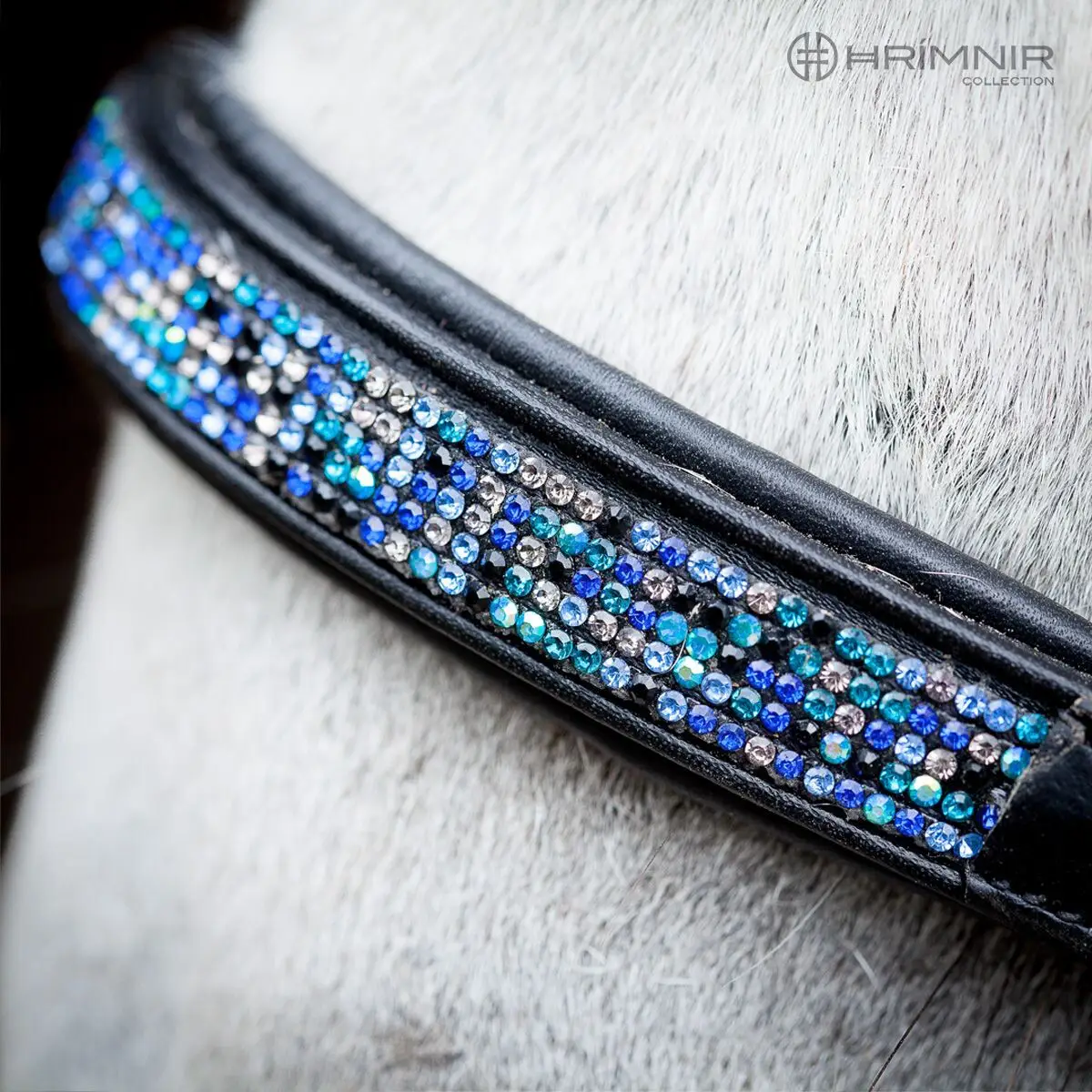 Hrímis nasamúll - Blue Lagoon - Image 3