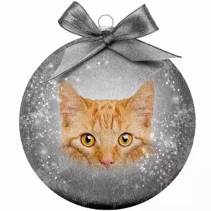 Jólakúla, gulbröndóttur köttur