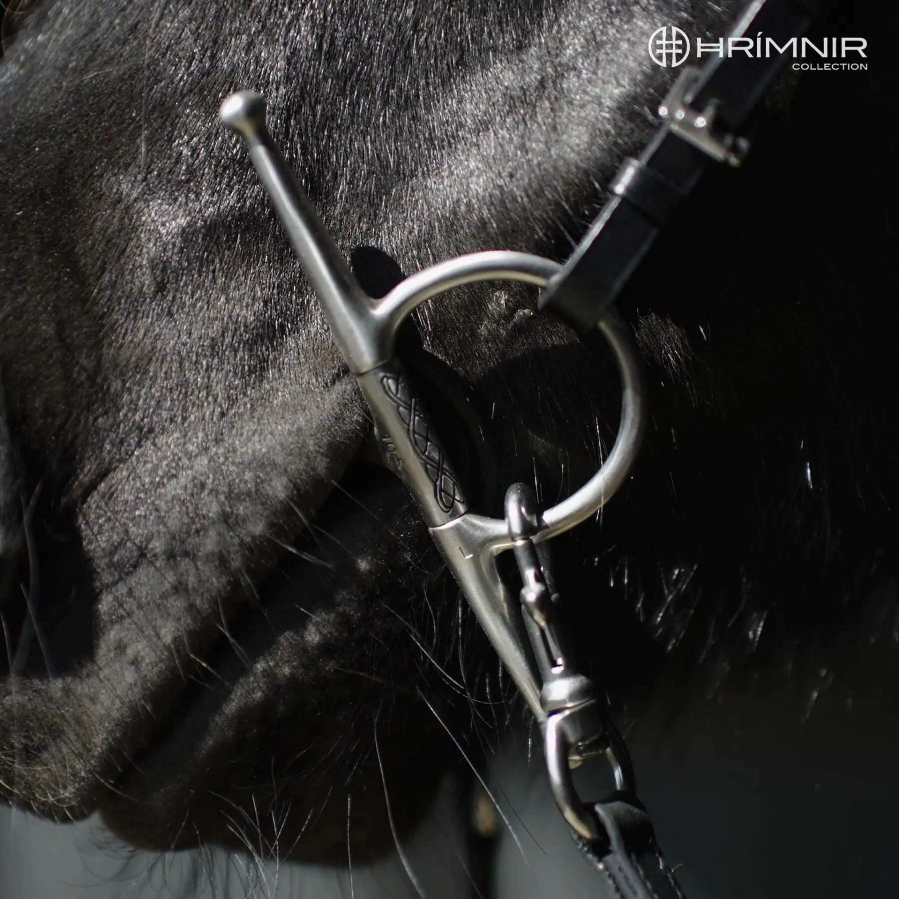 Hrímnis tamningamél með bita - Image 5