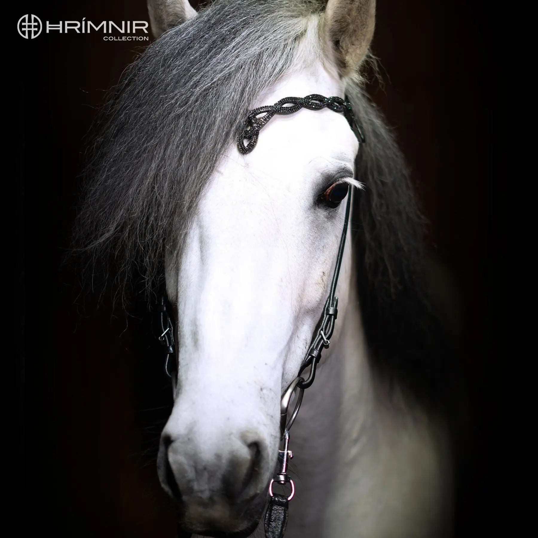 Höfuðleður Heritage D - Lava