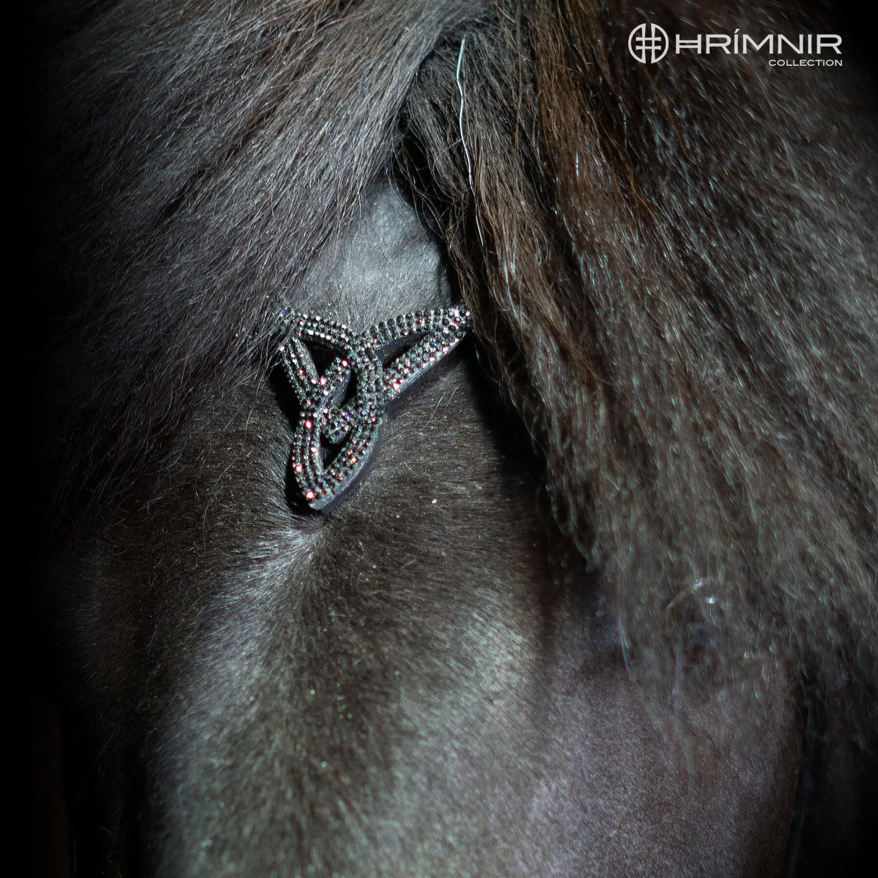 Höfuðleður Heritage D - Lava - Image 4