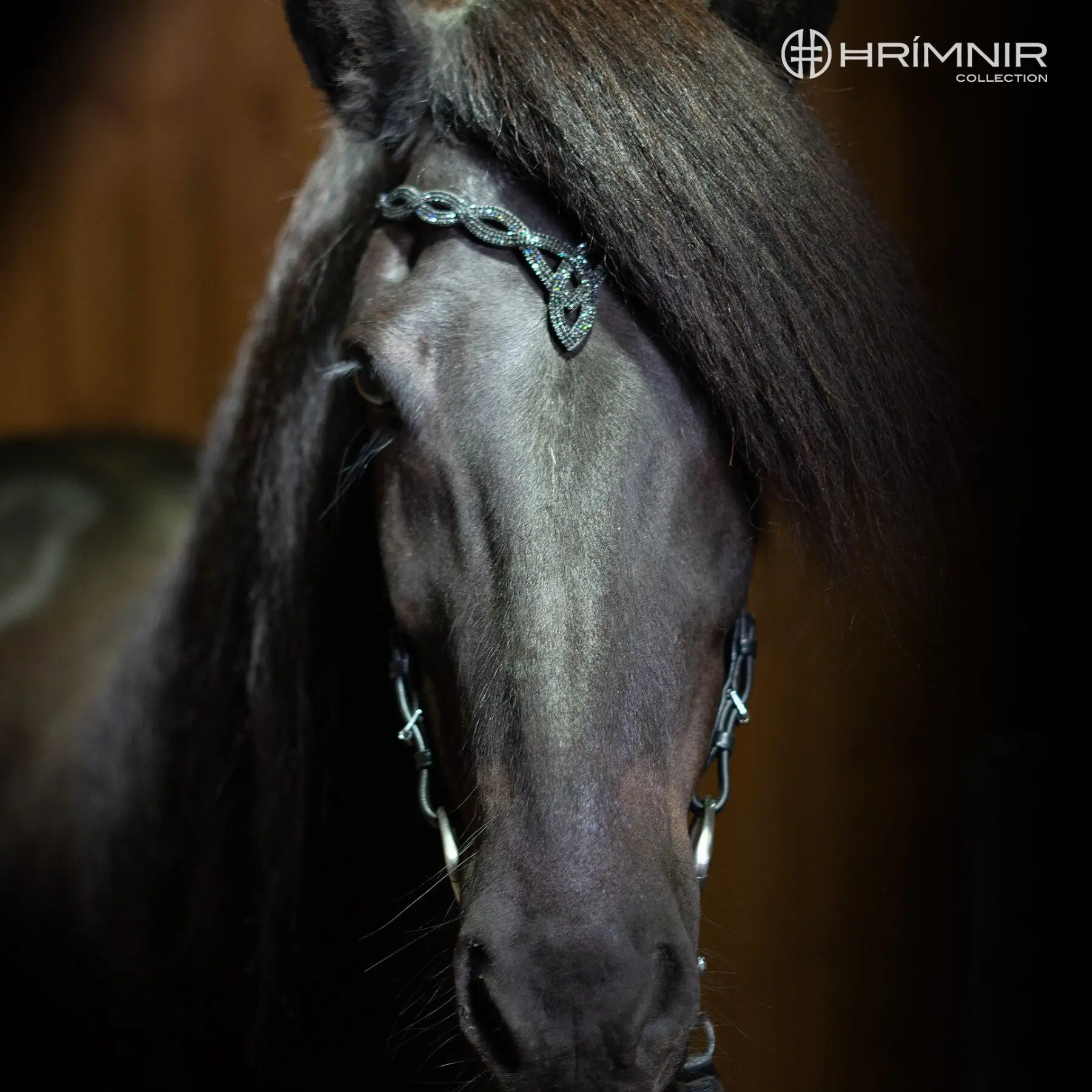 Höfuðleður Heritage D - Lava - Image 3