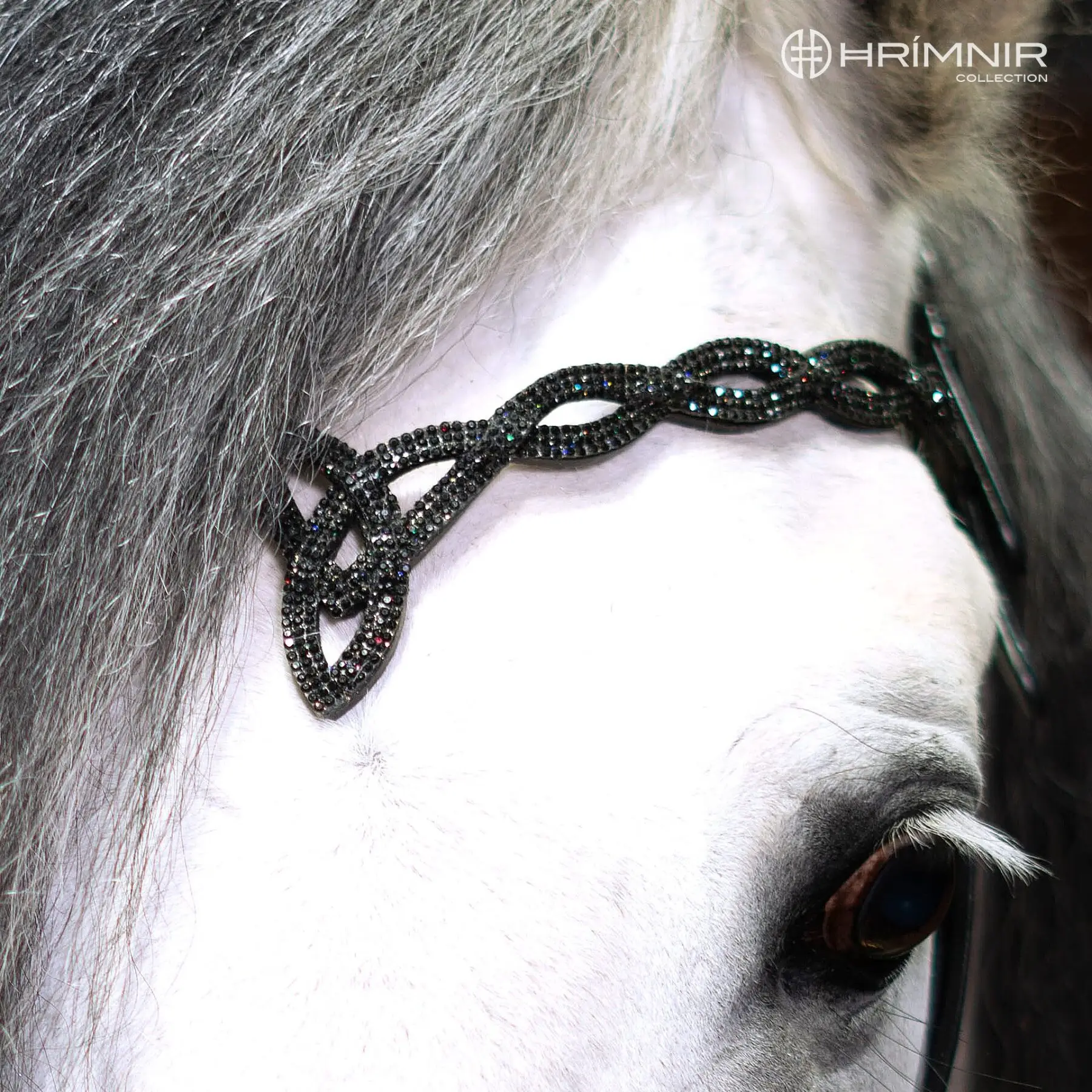 Höfuðleður Heritage D - Lava - Image 2