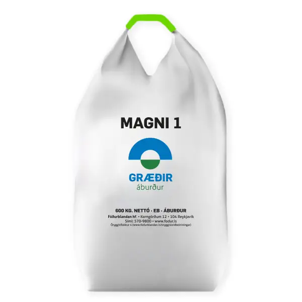 Magni 1