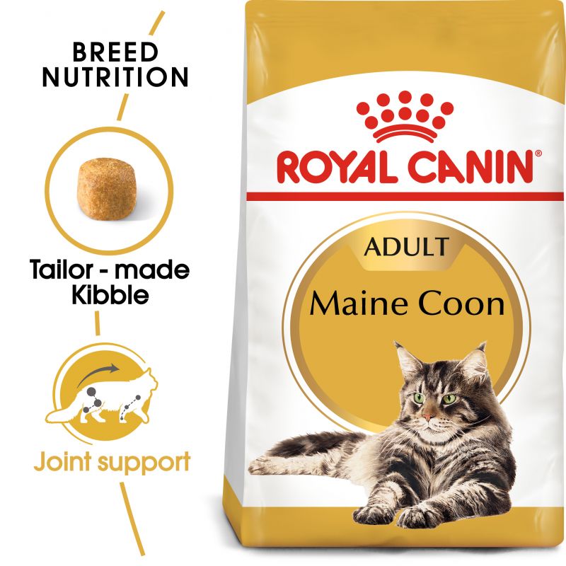 CREATOR: gd-jpeg v1.0 (using IJG JPEG v62), quality = 80 Royal Canin kattamatur Maine coon - Image 1