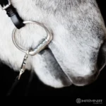 Hringamél með bita, 12mm - 11,5 cm - Image 2