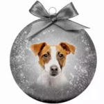 Jólakúla Jack Russell