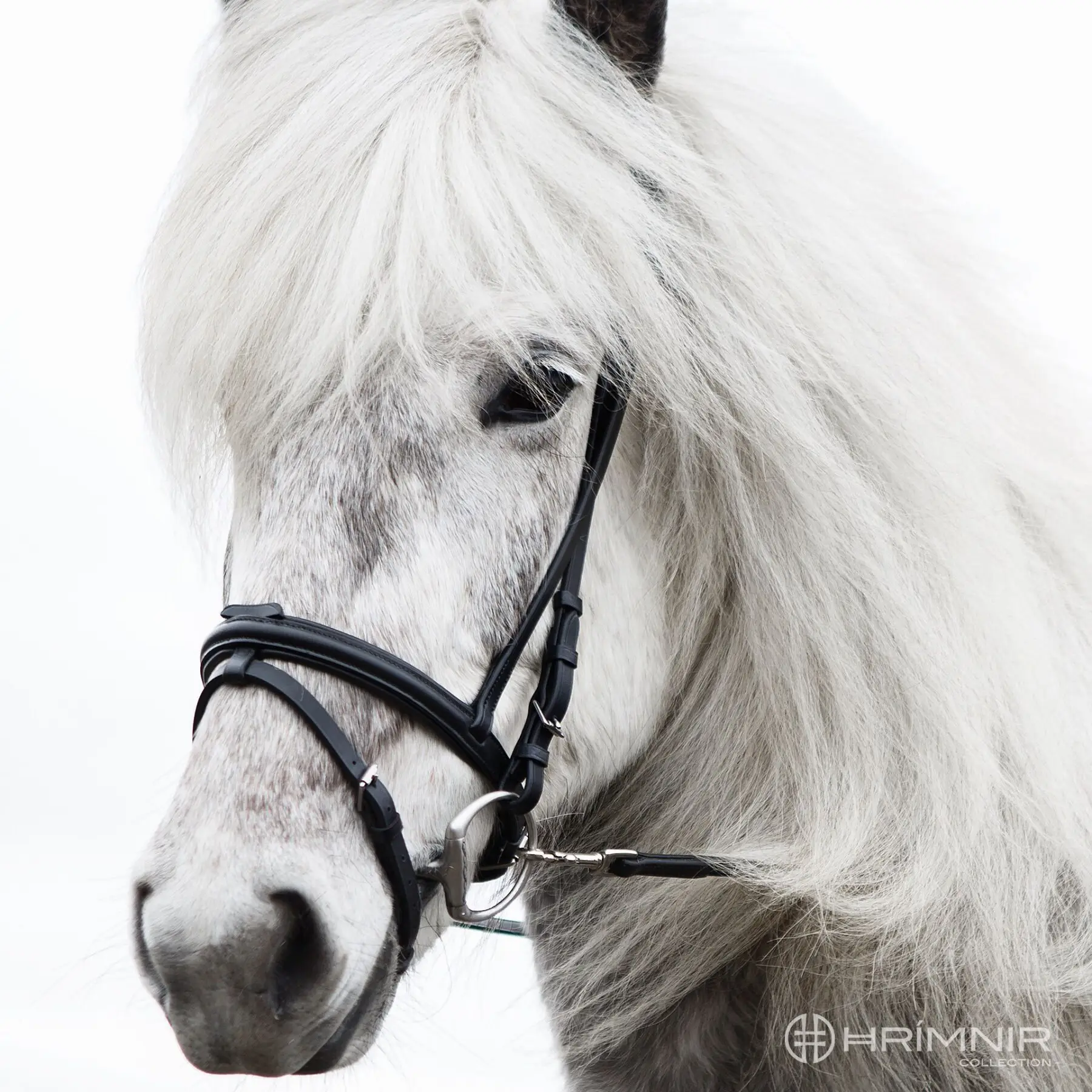 hrimnir_flash_nosebands.webp Enskur nasamúll m/skáreim - Classic - Image 1