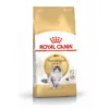Royal Canin - Norwegian Forest Cat Adult