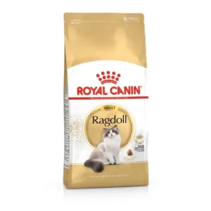 Ragdoll Adult 2kg.
